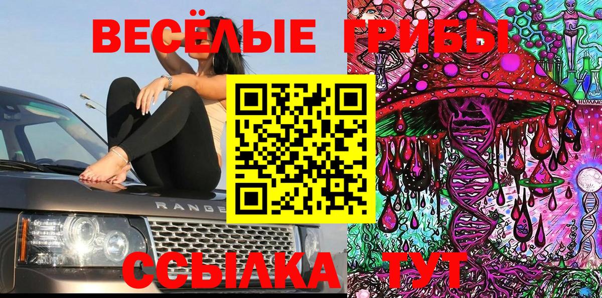 Галлюциногенные грибы мицелий Углич